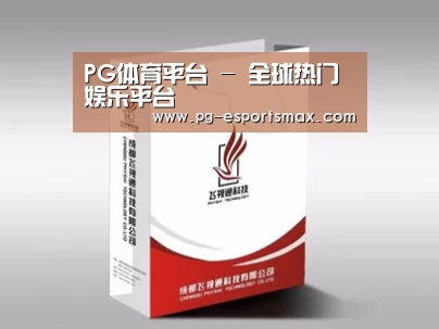 项目名称十三