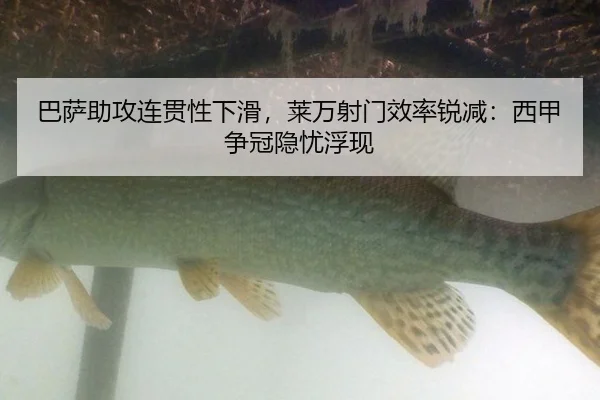 ba-sa-zhu-gong-lian-guan-xing-xia-hua-lai-wan-she-men-xiao-lv-rui-jian-xi-jia-zheng-guan-yin-you-fu-xian-3-801.jpg