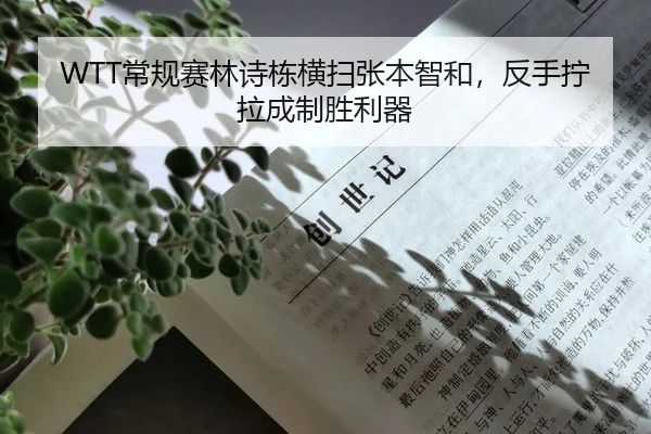 WTT常规赛林诗栋横扫张本智和，反手拧拉成制胜利器